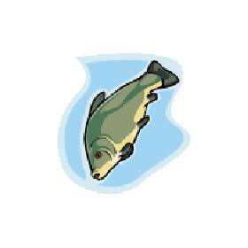 Alkylglycérols Huile de Chimère en capsules 