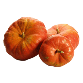 Huile de pépins de Courge en capsules (Cucurbita pepo)