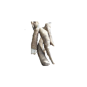 Bois Bandé en gélules, aphrodisiaque naturel