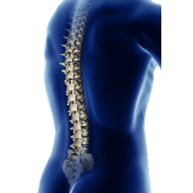 MSM anti-inflammatoire en gélules (Méthyle Sulfonyle Méthane)