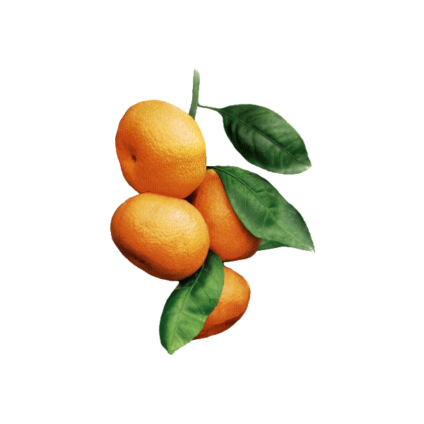 Huile essentielle Mandarine Verte bio (Citrus reticulata Blanco)