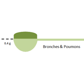 Bronches & Poumons mélange en poudre