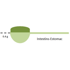 Intestins-Estomac mélange en poudre Régénération