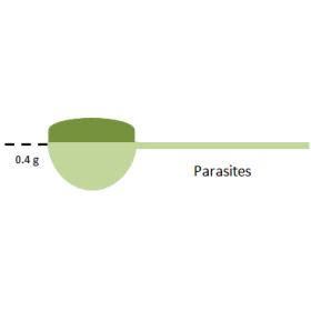 Parasites mélange en poudre Régénération