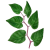 Renouée du Japon Trans-resvératrol végétal (Polygonum cuspidatum)