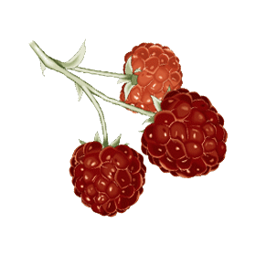 Cétones de Framboise en gélules