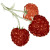 Cétones de Framboise en gélules