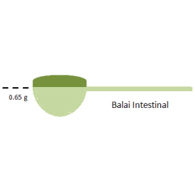 Balai Intestinal mélange en poudre Régénération