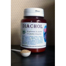 Diachol mélange en poudre Régénération