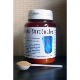 Glandes Surrénales mélange en poudre Régénération