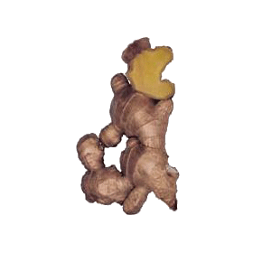 Imunovie mélange en poudre Régénération