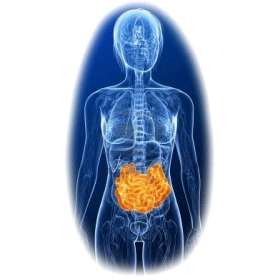 Parasites mélange en gélules Régénération