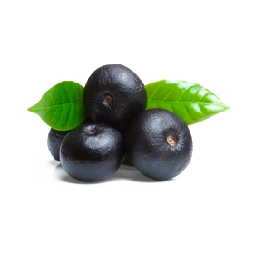 Açaie Bio en gélules (Euterpe oleracea)