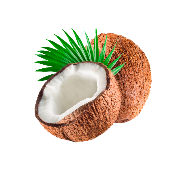 Huile végétale vierge de Coco Bio*