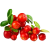 Cranberry Canneberge extrait  BIO en gélules