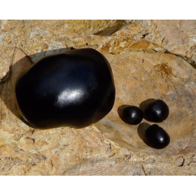 Shiljit extrait en gélules Pullulan (Larmes de l'Himalaya)