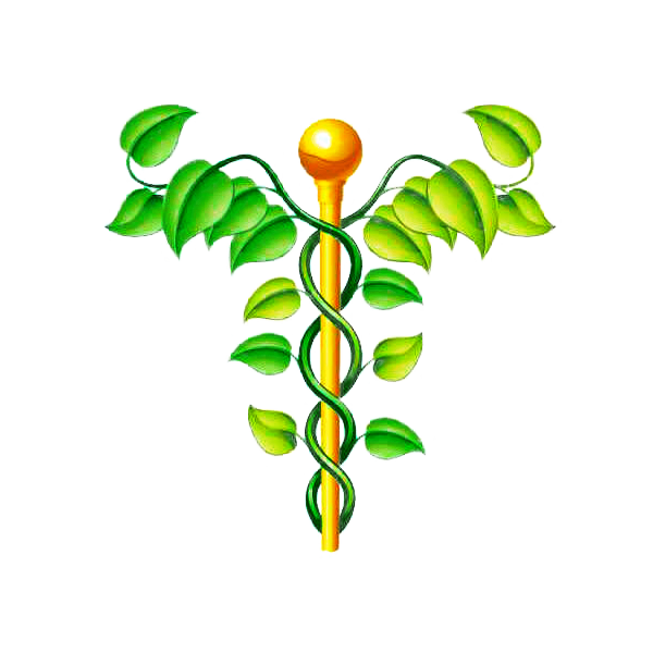 NAC N-Acétylcysteine en gélules Pullulan